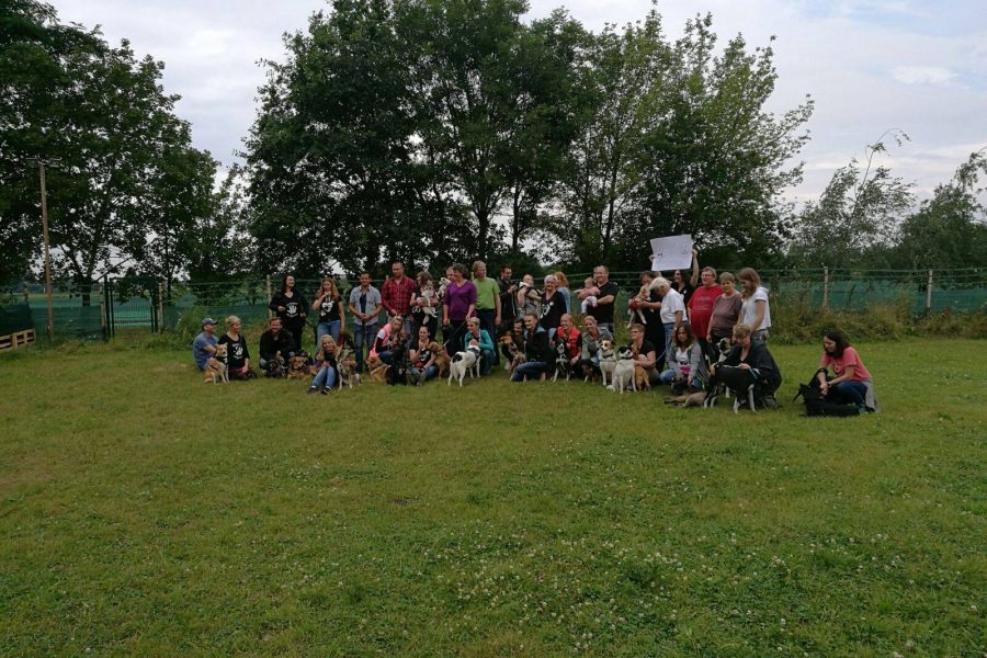 Hundespielplatz Treffen Tierengel Bulgarien 07-2016